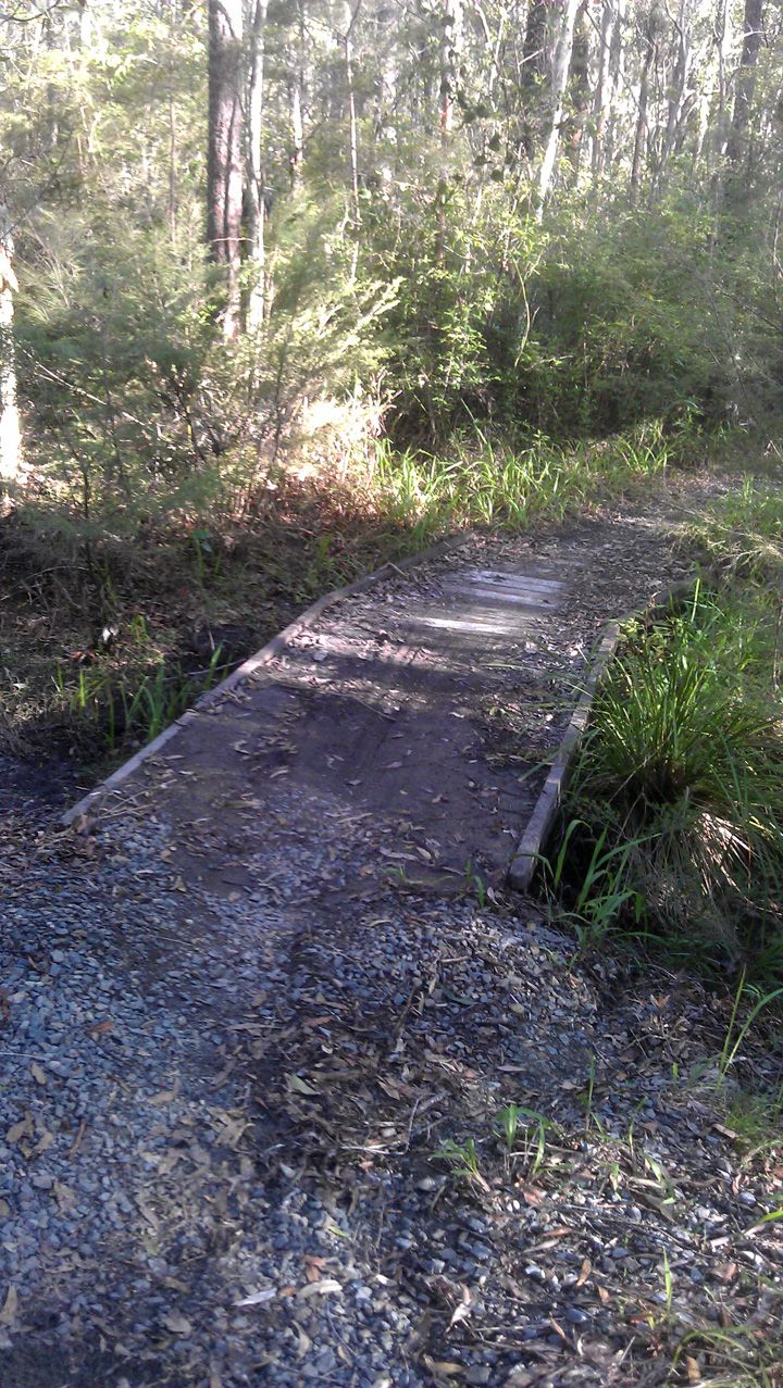 Casuarina Grove, Bridge Before.